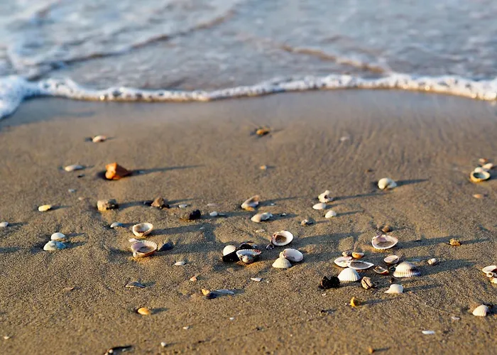 Krystall 45642 Сан-Мікеле-аль-Тальяменто